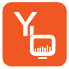 YBI Foundation